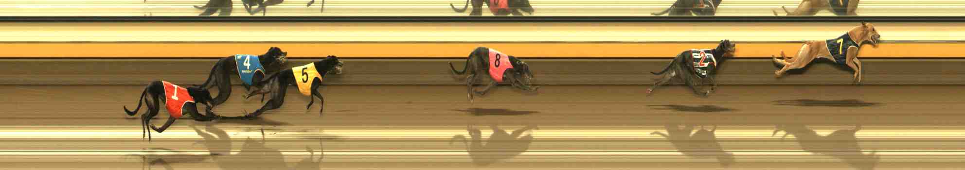 Photo finish for Warrnambool Race 12