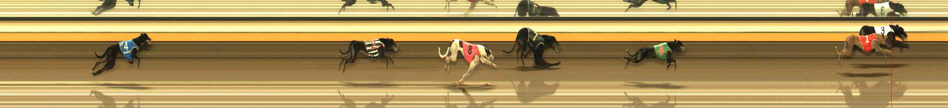 Photo finish for Warrnambool Race 13