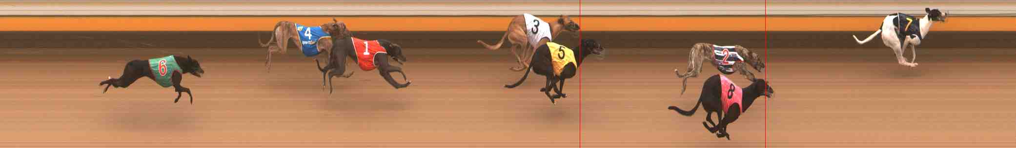 Photo finish for Warrnambool Race 1