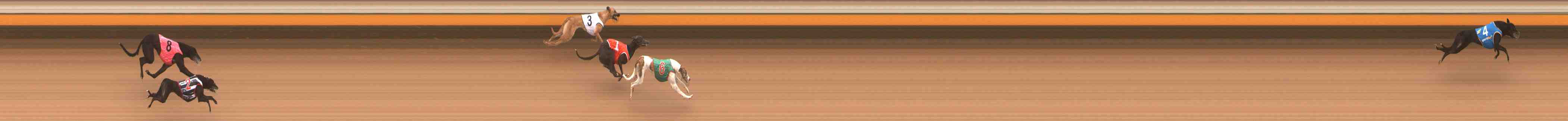 Photo finish for Warrnambool Race 2