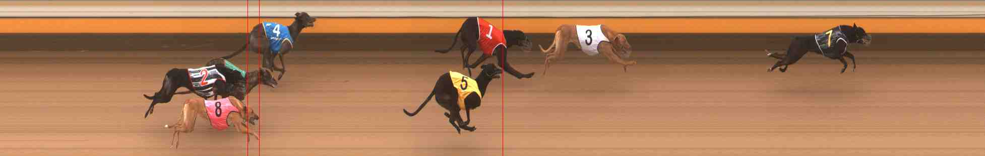 Photo finish for Warrnambool Race 3