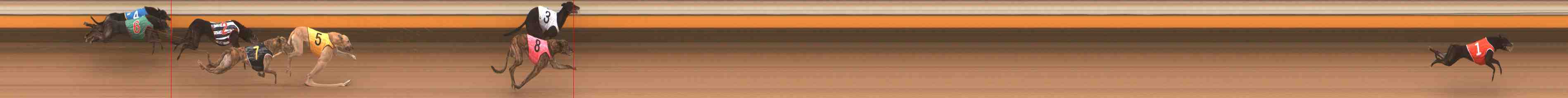 Photo finish for Warrnambool Race 4