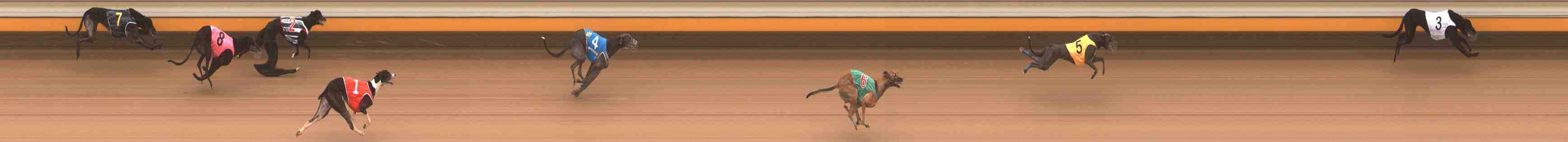 Photo finish for Warrnambool Race 5