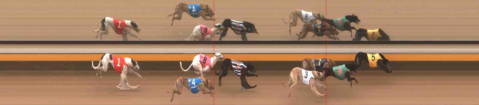 Photo finish for Warrnambool Race 6