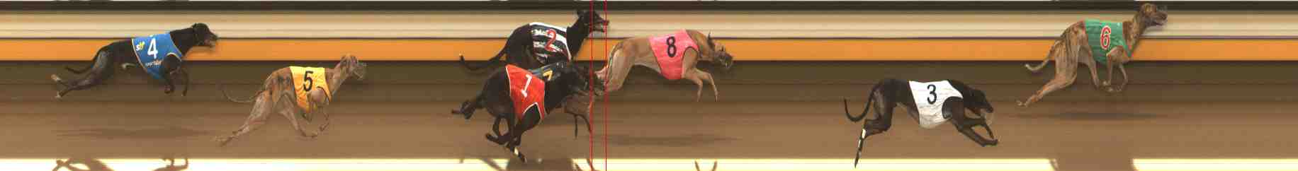 Photo finish for Warrnambool Race 7