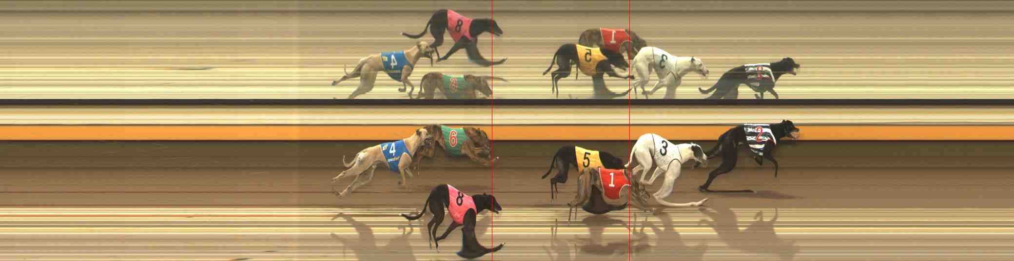 Photo finish for Warrnambool Race 8