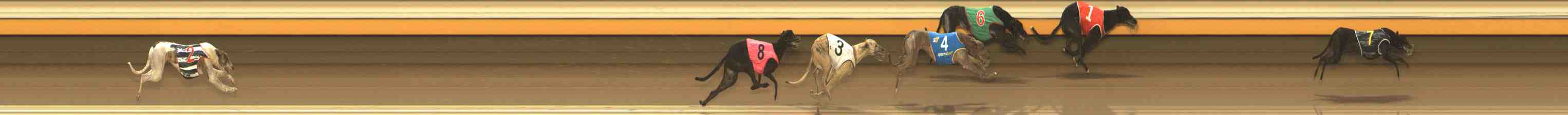 Photo finish for Warrnambool Race 9