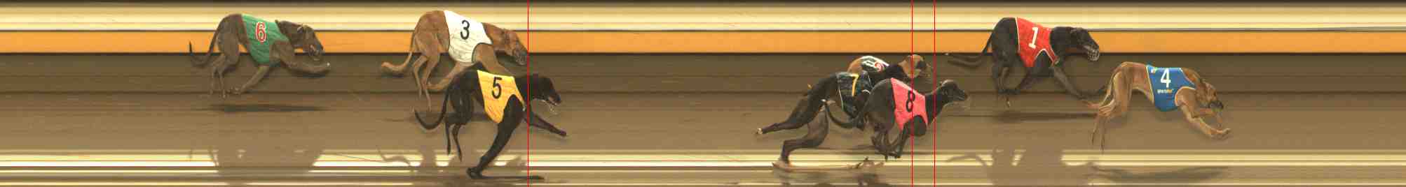 Photo finish for Warrnambool Race 10