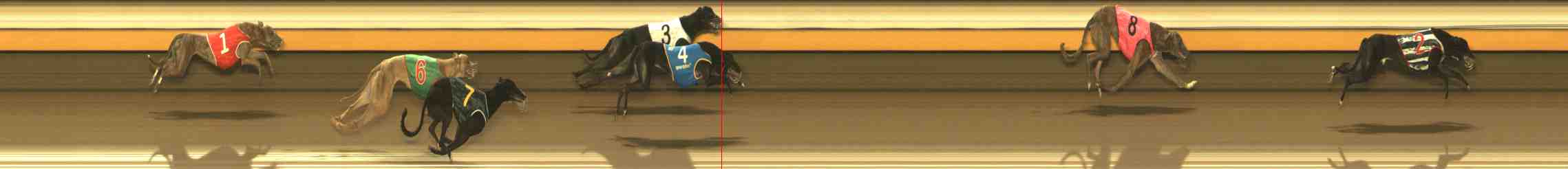Photo finish for Warrnambool Race 11