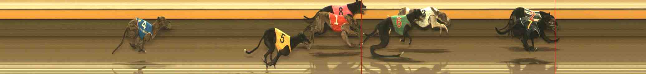 Photo finish for Warrnambool Race 12
