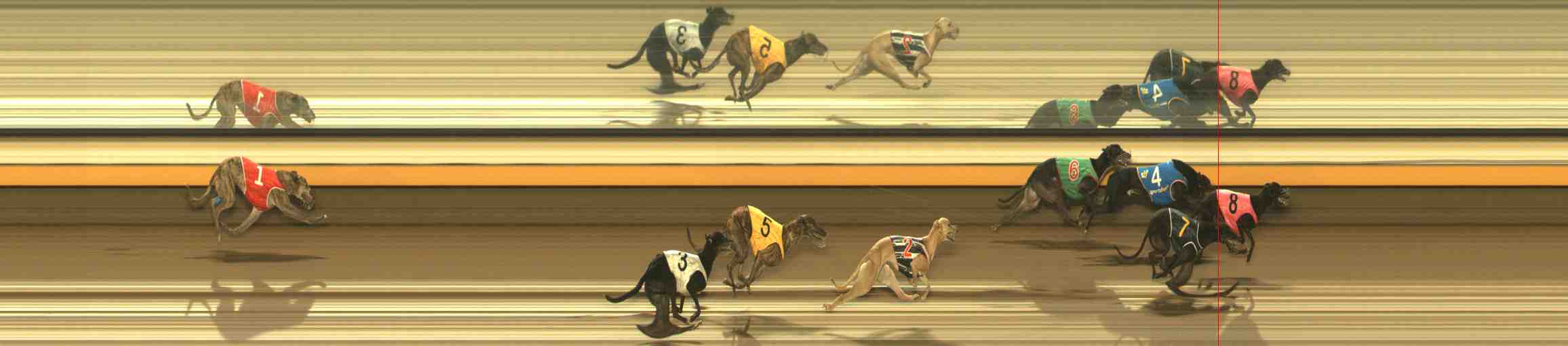 Photo finish for Warrnambool Race 13