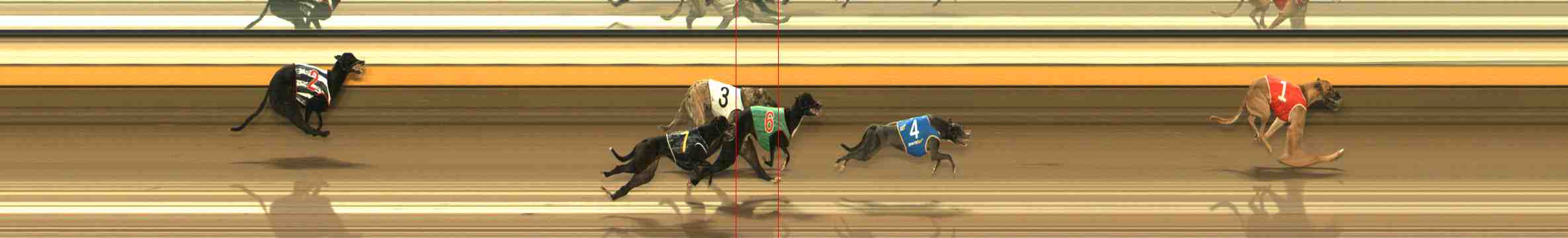 Photo finish for Warrnambool Race 1