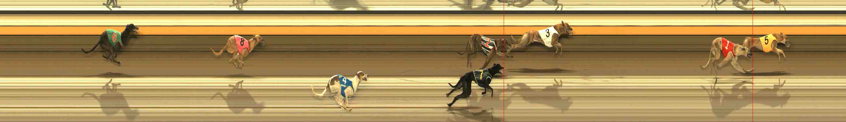Photo finish for Warrnambool Race 2
