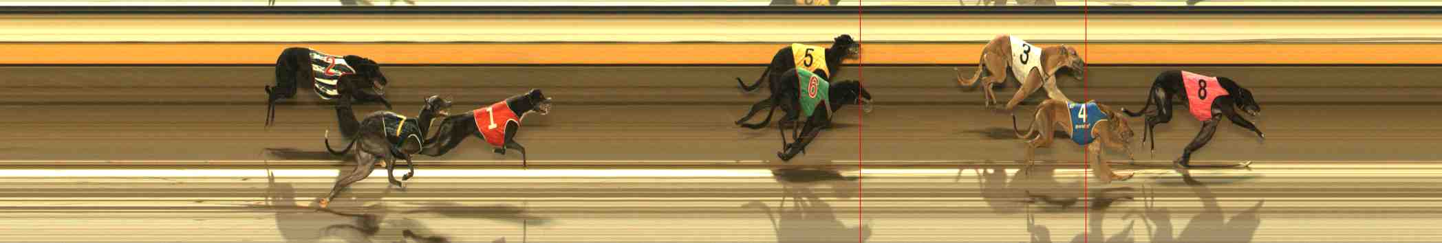 Photo finish for Warrnambool Race 3