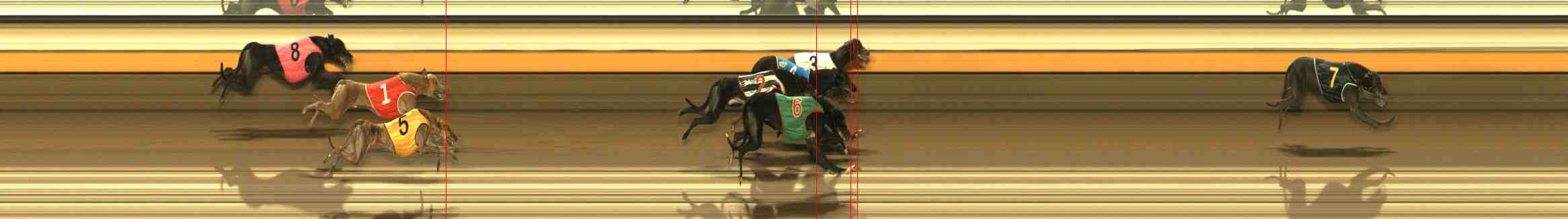 Photo finish for Warrnambool Race 4