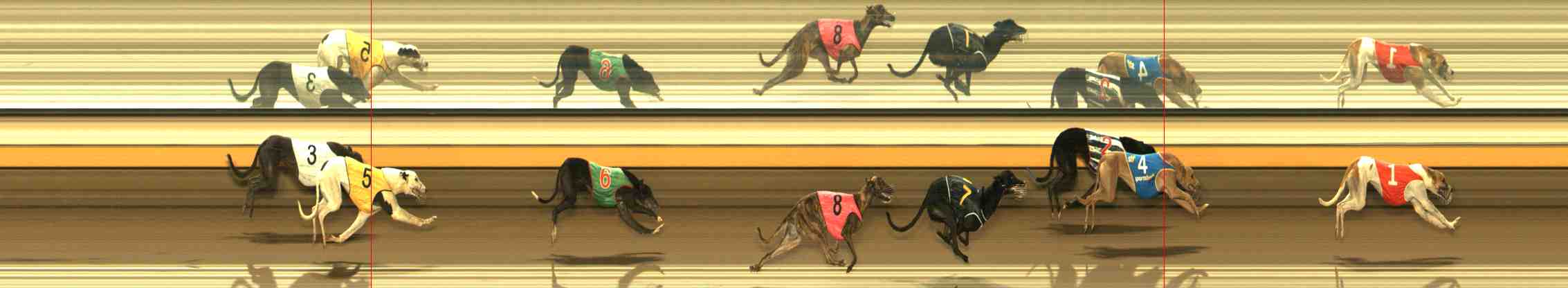 Photo finish for Warrnambool Race 5