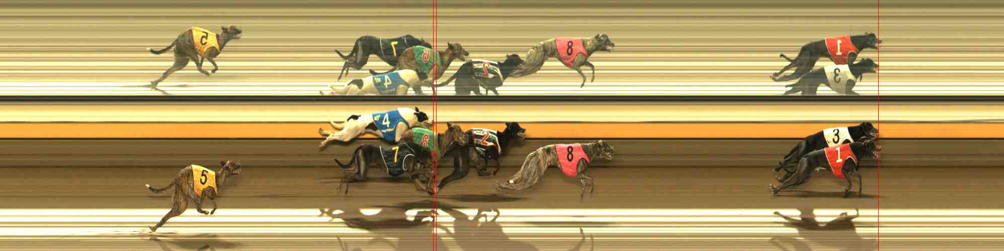 Photo finish for Warrnambool Race 6