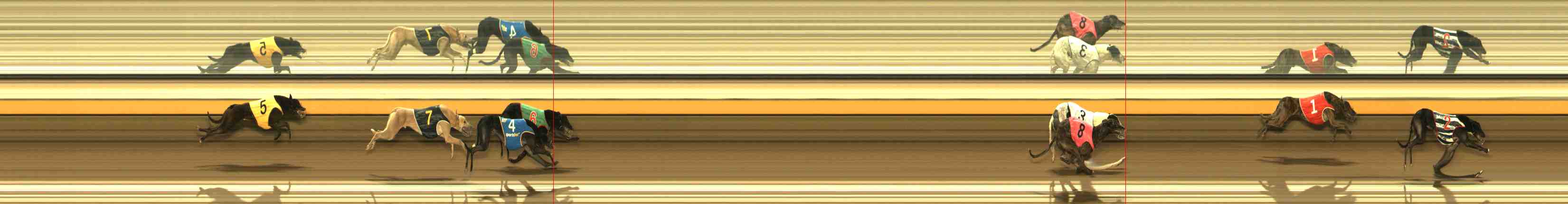 Photo finish for Warrnambool Race 7