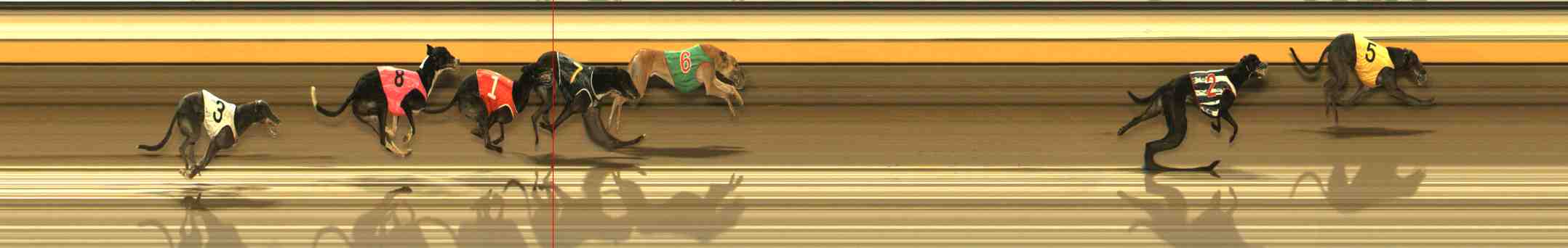 Photo finish for Warrnambool Race 9