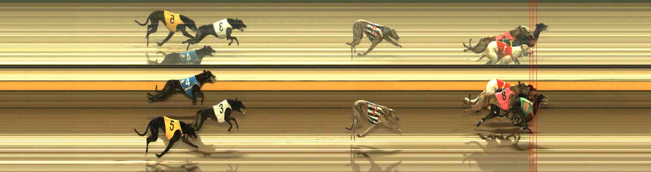 Photo finish for Warrnambool Race 10