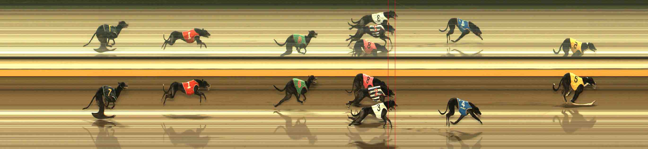 Photo finish for Warrnambool Race 11