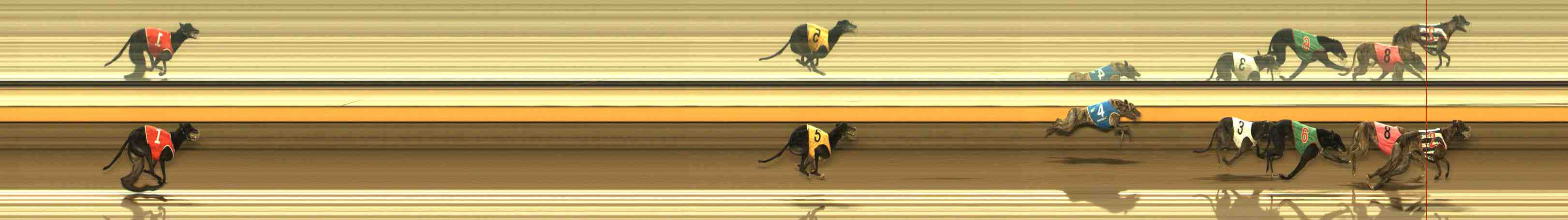 Photo finish for Warrnambool Race 12