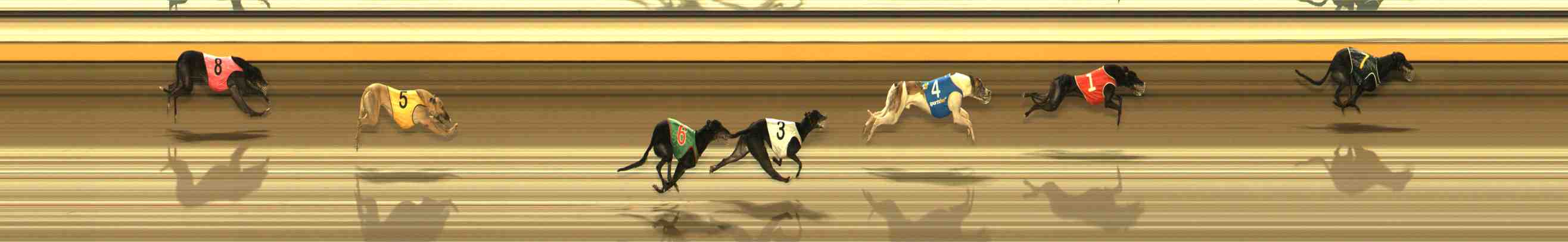 Photo finish for Warrnambool Race 13