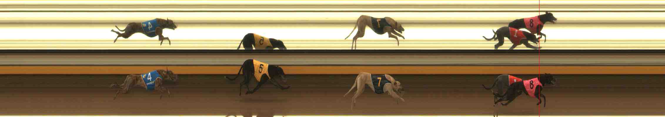 Photo finish for Warrnambool Race 2
