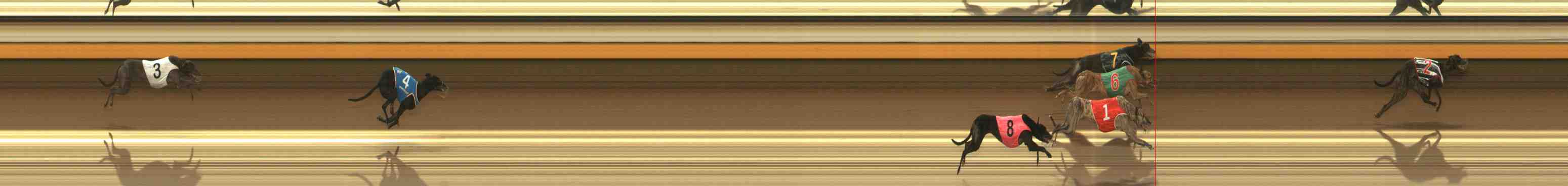 Photo finish for Warrnambool Race 3