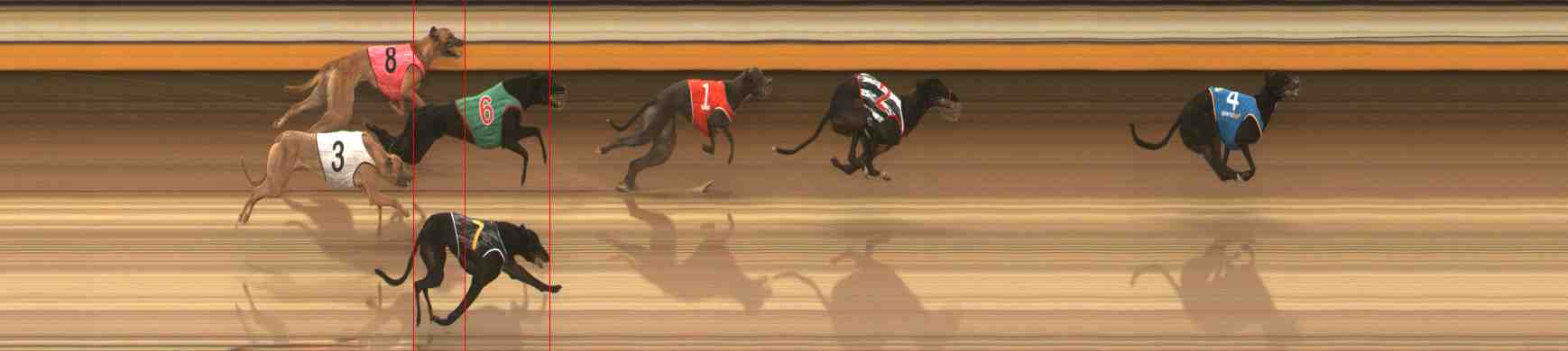 Photo finish for Warrnambool Race 4