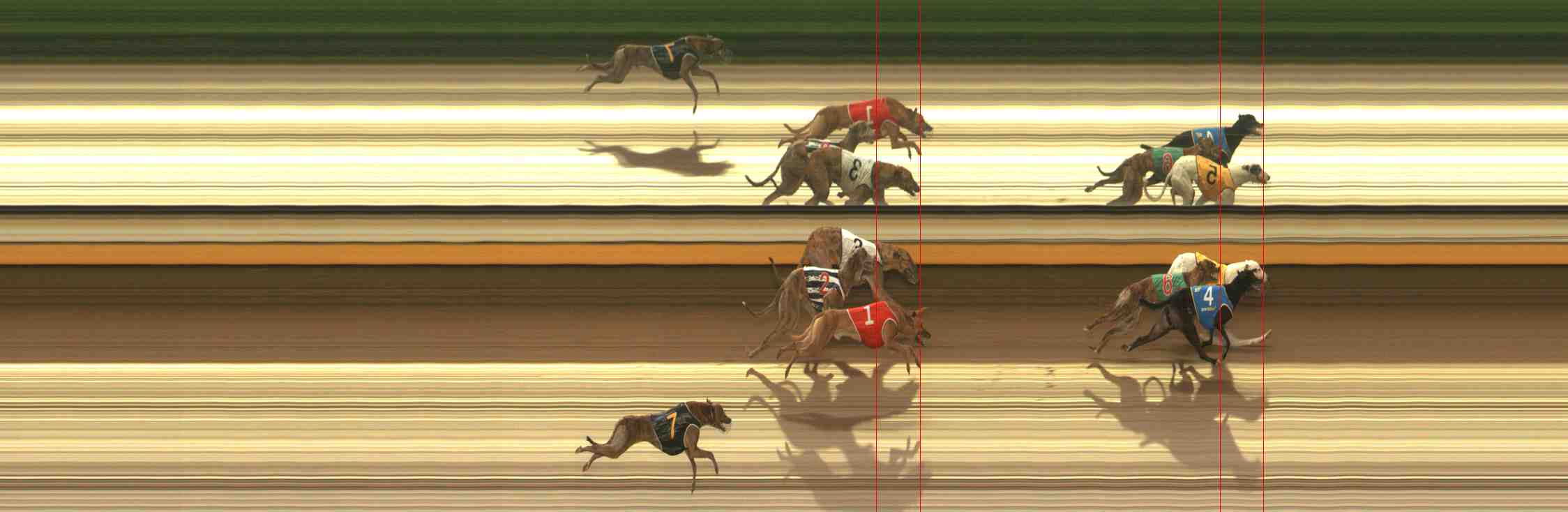 Photo finish for Warrnambool Race 5
