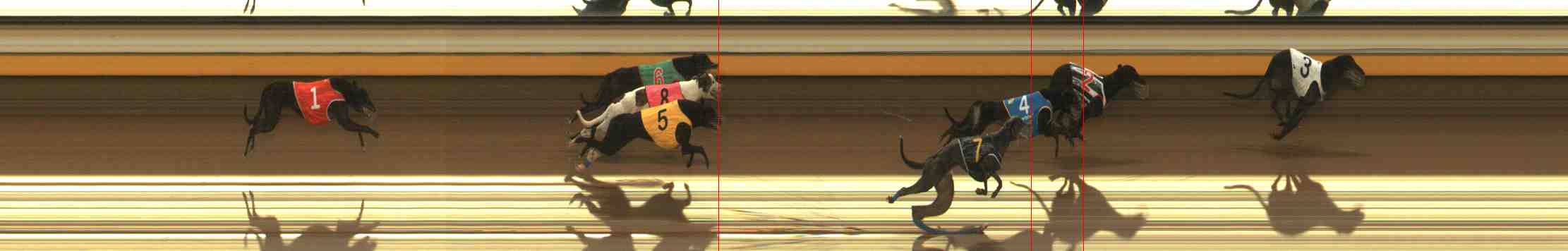 Photo finish for Warrnambool Race 6