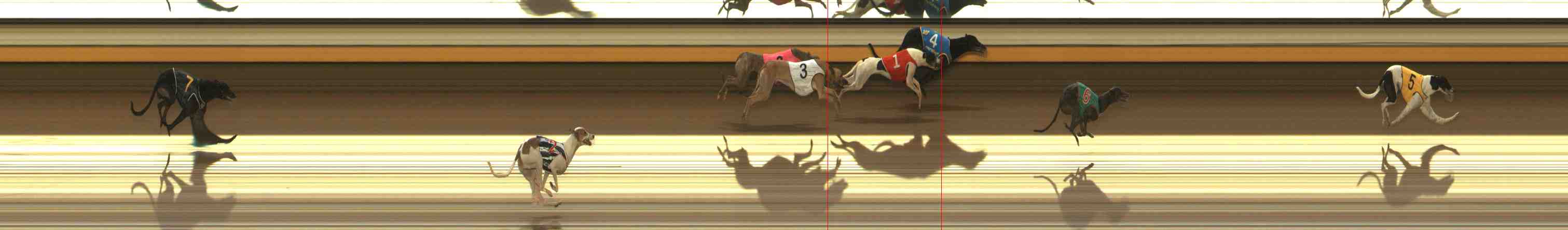Photo finish for Warrnambool Race 7