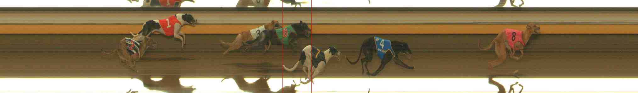 Photo finish for Warrnambool Race 9