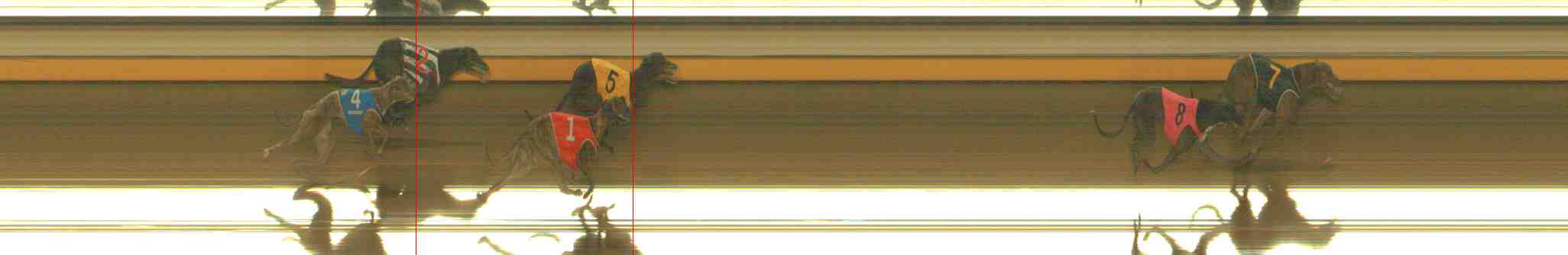 Photo finish for Warrnambool Race 10