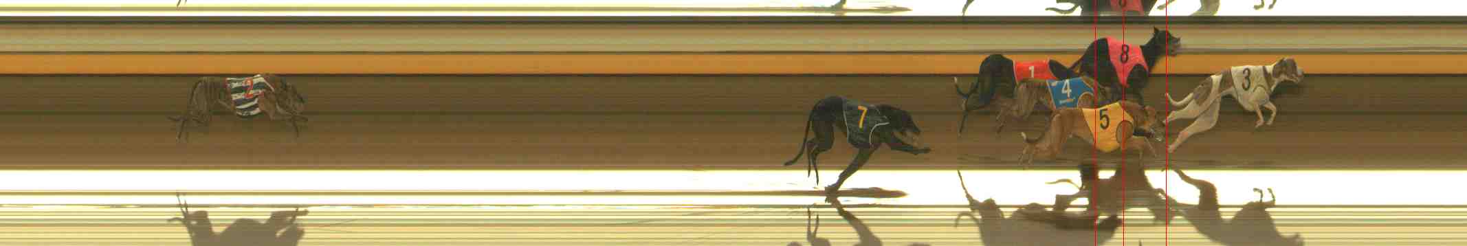 Photo finish for Warrnambool Race 11