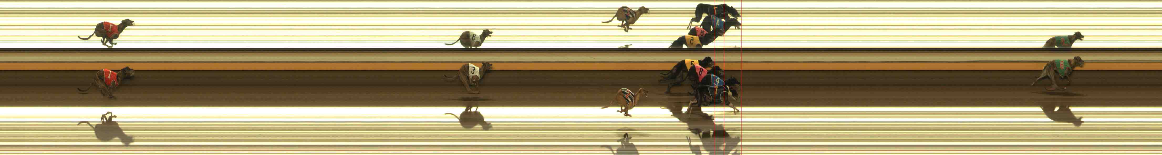 Photo finish for Warrnambool Race 12