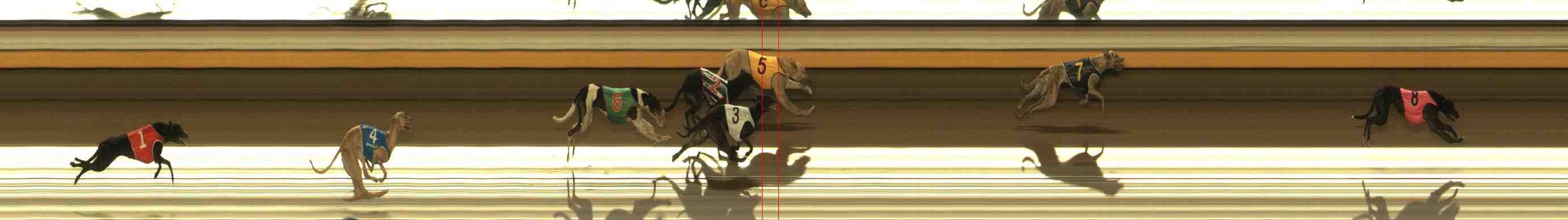 Photo finish for Warrnambool Race 13