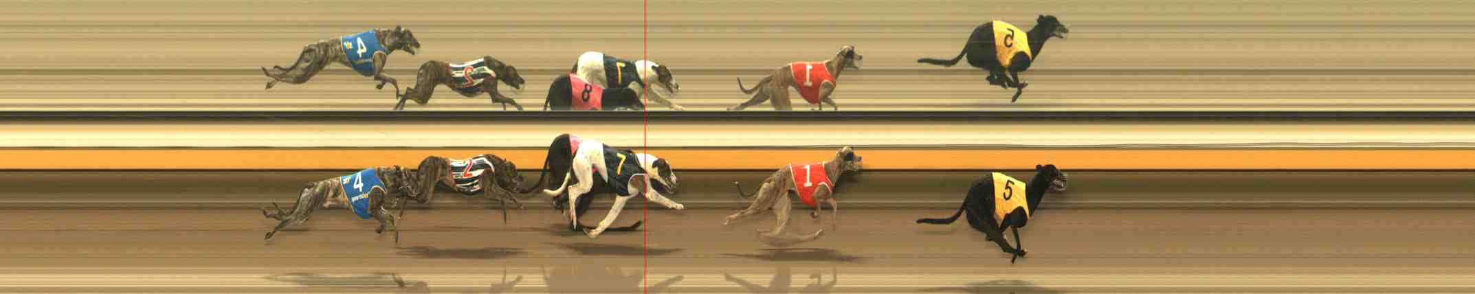 Photo finish for Warrnambool Race 1