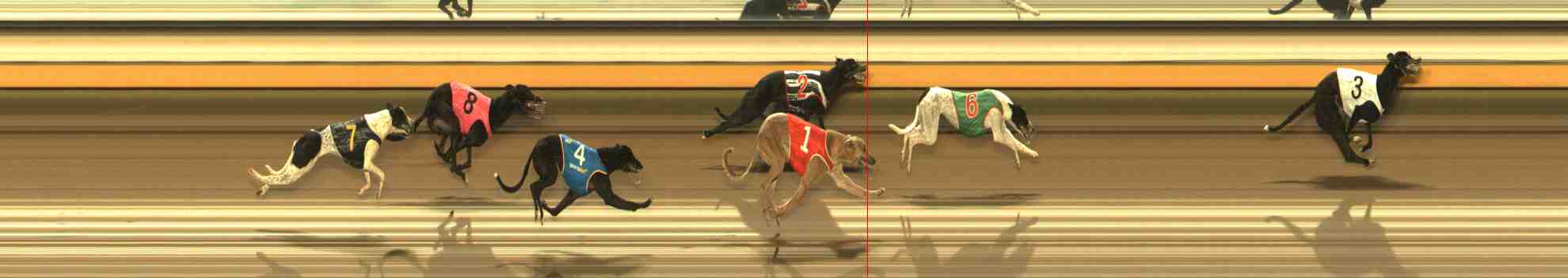 Photo finish for Warrnambool Race 2