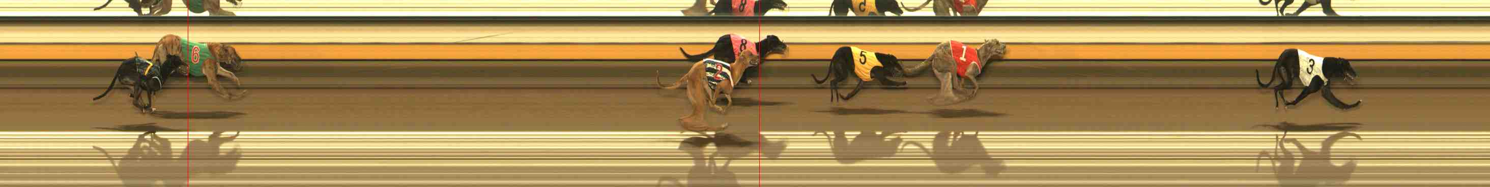 Photo finish for Warrnambool Race 3