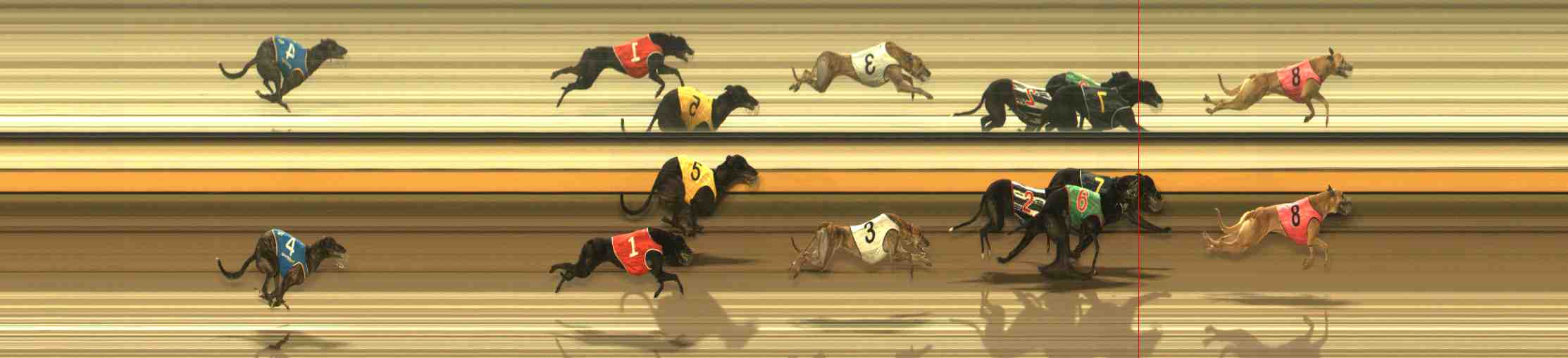 Photo finish for Warrnambool Race 4