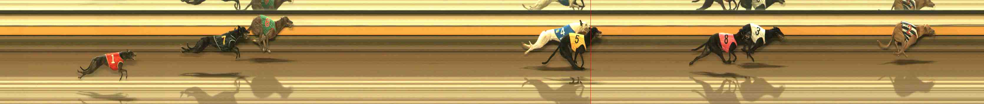 Photo finish for Warrnambool Race 5