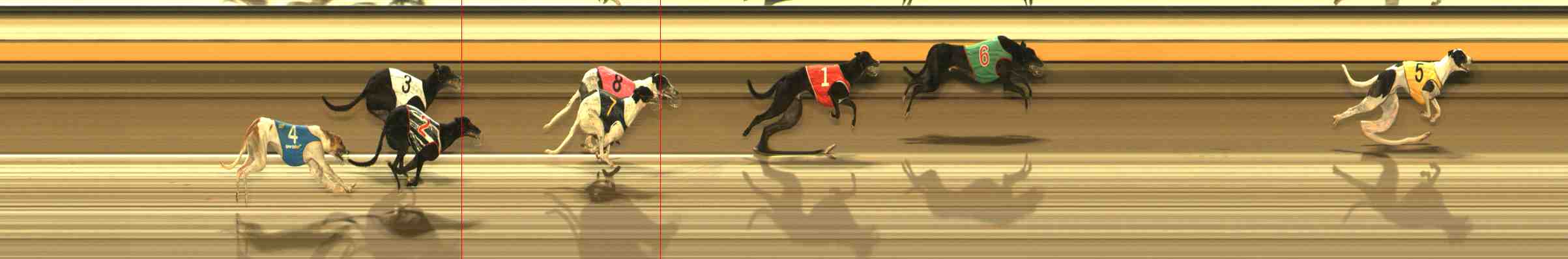 Photo finish for Warrnambool Race 6