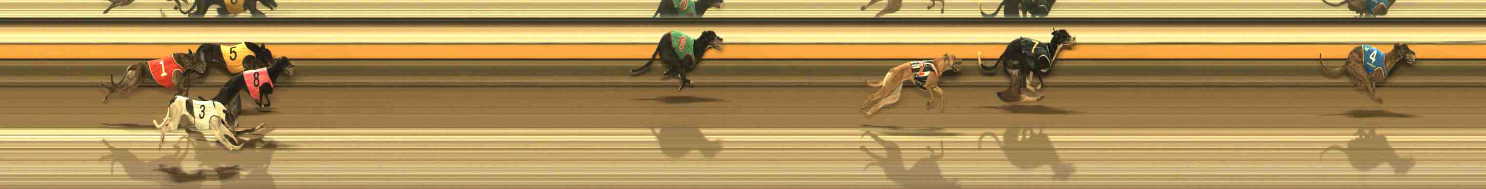 Photo finish for Warrnambool Race 7