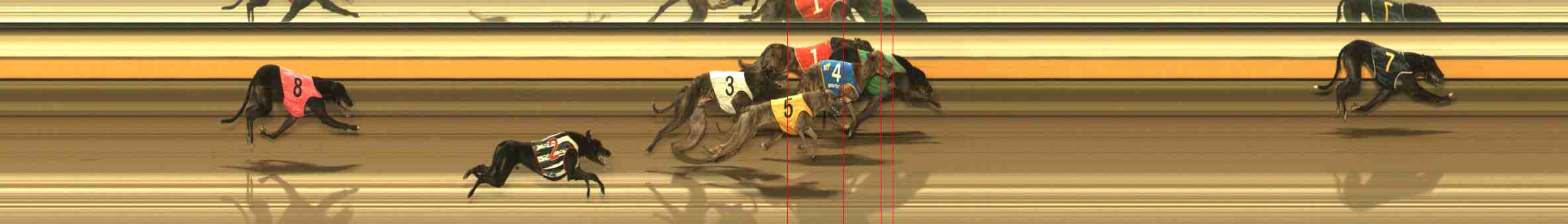 Photo finish for Warrnambool Race 8