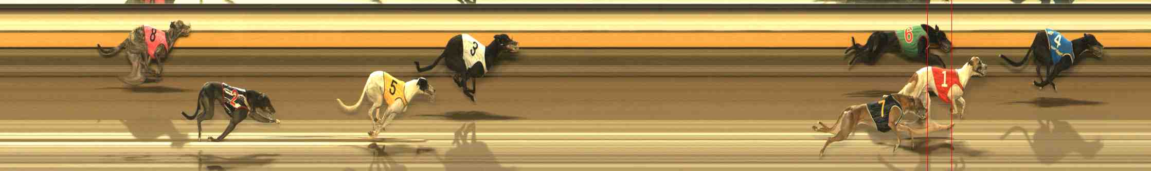 Photo finish for Warrnambool Race 9
