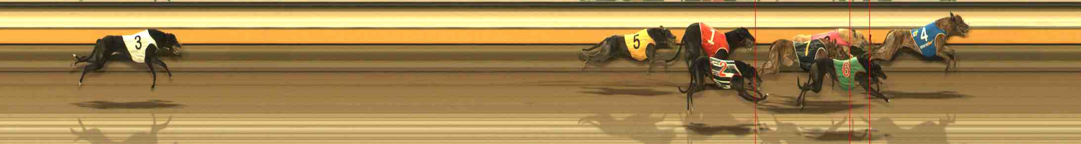 Photo finish for Warrnambool Race 10