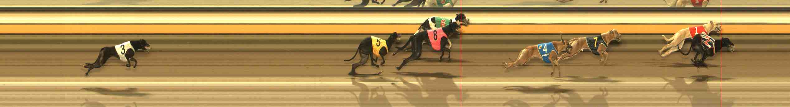 Photo finish for Warrnambool Race 11
