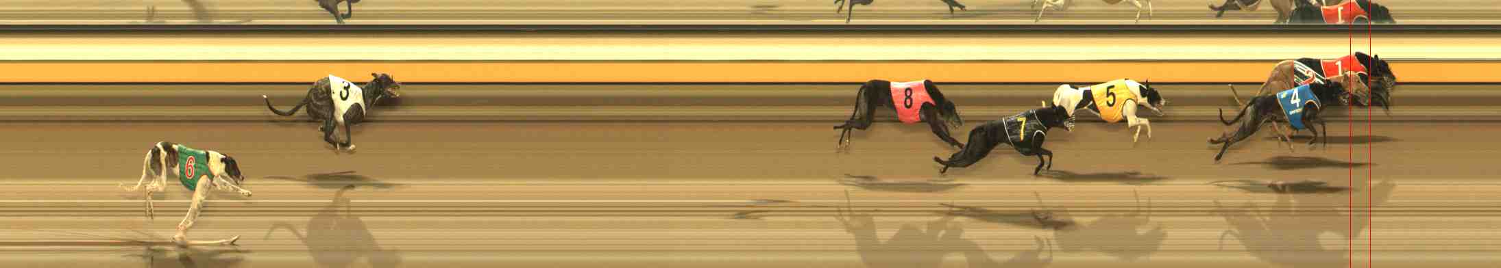 Photo finish for Warrnambool Race 12